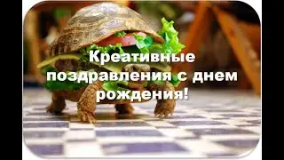 Прикольные поздравления с днем рождения