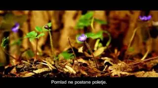 The Illusion Of Linear Time - Alan Watts