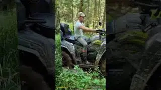 RM&Aodes в лесу.