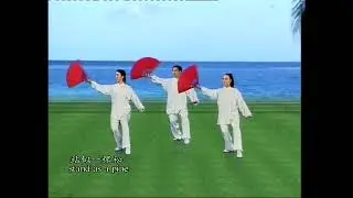 Tai Chi Taiji Kung Fu Fan - Front View by Zoke Culture