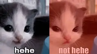 hehe or not hehe?