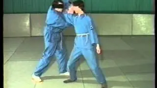 Техника Шоу Дао 9