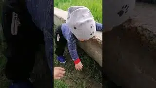 #семьябезкомплексов