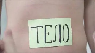 Тизер "Руководство пользователю"
