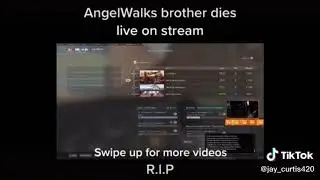 Must see absolutely insane streamers brother dies live on stream