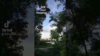 Hedgehog in Chinese- 刺猬 cìwei #chineselearner