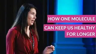 How one molecule can keep us healthy for longer - Nichola Conlon