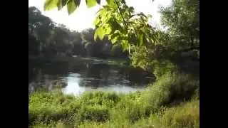 Чудеса на Реке Северский Донец.( Е Галкина)