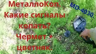 Металлопоиск и настройки металлоискателя MD-4030. Различаем сигналы.