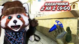 Я ВЕРНУЛСЯ! КУДА Я ПРОПАЛ НА 2 ДНЯ? - КС ГО НАПАРНИКИ #55