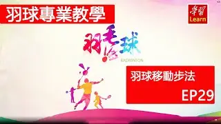 羽毛球 羽球教學 移動步法 左右兩側移動步法EP29