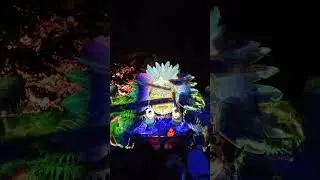 Dakshinamurty - Insomnia Festival 2024