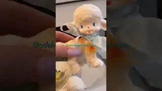 HRH Collection Unintentional ASMR #hrhcollection #asmr