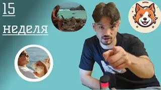 Работа в IT. 15 неделя. Кто в IT должен получать 400к.Итоги 1го спринта в Pet-проекте. Почта в Сбере