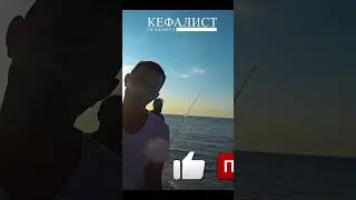 КЕФАЛИСТ- КАНАЛ О РІБАЛКЕНА ЧЕРНОМОРСКУЮ КЕФАЛЬ (ЛОБАНЬ ПЕЛЕНГАС ДОЛГОНОС СИНГИРЬ, СНАСТИ НА КЕФАЛЬ