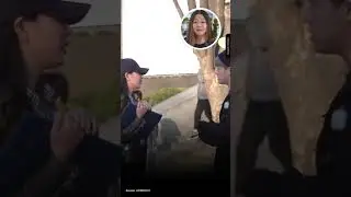 Нужен ли корейский язык, если можно разговаривать на английском?