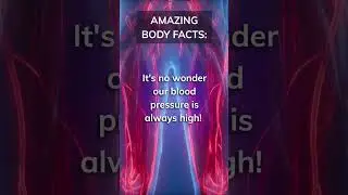 Circulatory System: How Far Can Your Blood Vessels Travel? #shorts #education #science #travel