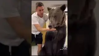 литвин