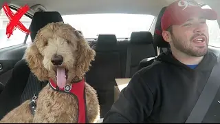The Trip W/ Charlie