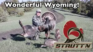 STRUTT’N 360 Wyoming Merriam | Grand Slam | Turkey Hunting