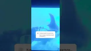30 июля 2024 г.