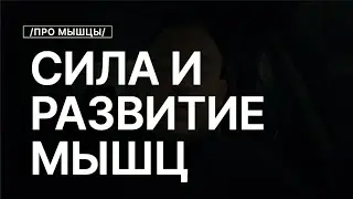 Как Хорошо Развить ВСЕ Наши Мышцы