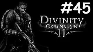 divinity: original sin 2 # поиски лорда Арху [45]