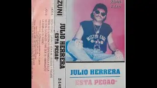 Julio Herrera-Esta Pegao