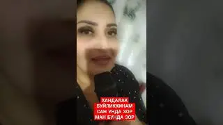 ГУЛИ ШАЙДО АДМИН 91 429 0999 #music #love #shorts #short #shortvideo #shortsvideo #reels