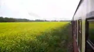 Molli - Schmalspurbahn