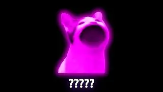 11 Pop Cat Sound Variations in 50 Seconds