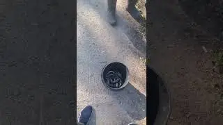 Как вам такая рыбалка ?