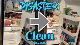 DISASTER CLEAN | REFRIGERATOR CLEAN OUT | Stacy Miller