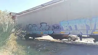 Bagones de tren raros (jueves 11 enero 2024)