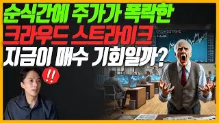 순식간에 '기다리던 가격' 까지 폭락한 크라우드스트라이크, 지금이 매수 기회일까? 조금 더 기다려야 할까?