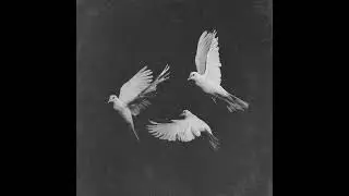 FREE | DON TOLIVER X TRAVIS SCOTT SAMPLE 