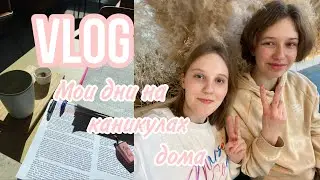 VLOG мои дни на каникулах дома