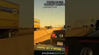 MUSTANG Driver JUMPS OFF BRIDGE 😱😱