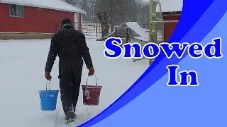 Snowed In