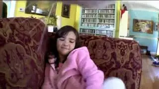 Один день из жизни кота
