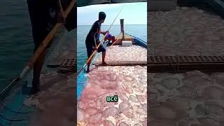 Why Didn't This Man Die from a Jellyfish Sting? The Shocking Truth! 😱