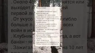 #мудрыемысли