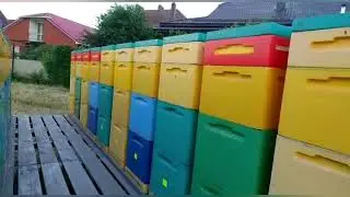 Как Выводить Маток в Семьях!!!