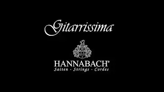 Gitarrissima is playing HANNABACH