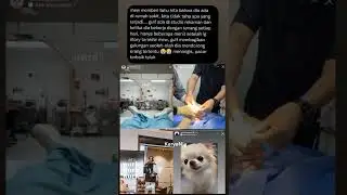 Apa Yang Terjadi Dengan P'Miuuu😭Geet well son P'mew ☀#mewsuppasit#gulfkanaawut#mewgulf#