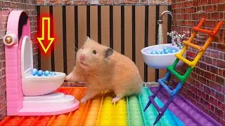 Hamster Pop It Maze Escape 🐹🌈