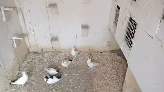 Ловим чужих!