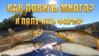 TUNGUSKA ON ULTRALIGHT/HOW MUCH TO CATCH?! In RUSSIAN FISHING 4