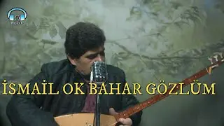İSMAİL OK BAHAR GÖZLÜM 2020