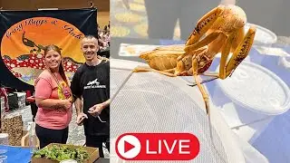 Crazy Bugs and Pods - Schaumburg NARBC